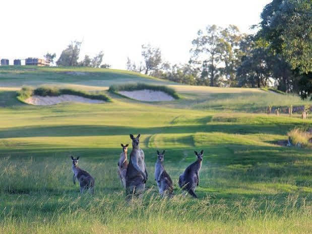 Riverside Oaks Golf Resort Cattai Buitenkant foto